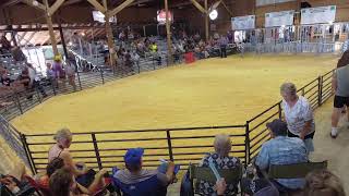 2024 Swine Barrow Show Internet Issues [upl. by Atnoed]