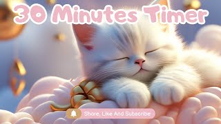 30 Mintues Countdown Timer with Relaxing Sleep Music for Kids Classroom Classroom  Kids Play time [upl. by Alilak]