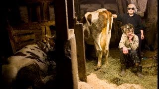 Women With Cows  Official Trailer [upl. by Noir725]