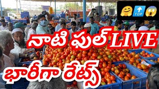 20092024 kolar tomato market ratetoday Kolar tomato market price kolartomatomarkettomato [upl. by Colb990]