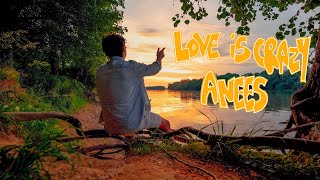 Anees  Love Is Crazy Lyric Video [upl. by Roskes]