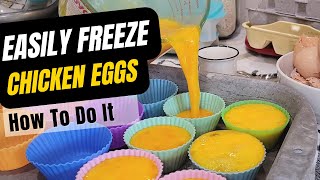 What You Need to Know to Freeze Chicken Eggs [upl. by Luhem409]