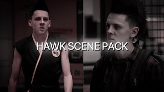 Hawk Scene Pack twixtor Cobra KaiS1 [upl. by Eimarrej]