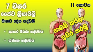 Grade 07 Science lessons in Sinhala  Unit 12  7 වසර විද්‍යාව 12 පාඩම 2 කොටස  ජෛව ක්‍රියාවලි [upl. by Akinuahs322]