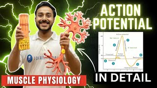 action potential physiology in hindi  ionic basis of action potential in skeletal muscle physiology [upl. by Frankel]