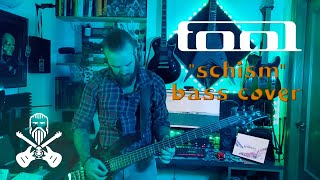 Tool  Schism ONE TAKE BASS COVER [upl. by Ylicis713]