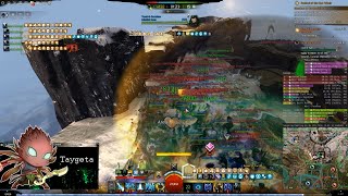 GW2 WvW  Healer Druid  Extraordinary Zerg Support [upl. by Pernas141]