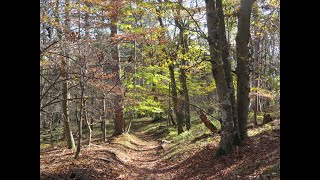 Auf zur Wanderung  los geht´s [upl. by Anaderol493]