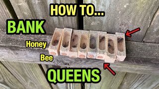 One Way to SUCCESSFULLY BANK Honey Bee QUEENS [upl. by Phillada]