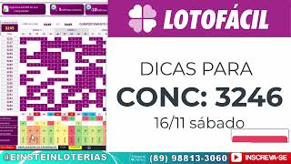 dicas pra LOTOFACIL 3246🍀🤑 sábado 16112024 JOGOS PRONTOS GRATIS 🍀🤑 [upl. by Burgwell]