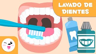 Cómo lavarse los dientes paso a paso  Lavado de dientes para niños [upl. by Dillie]