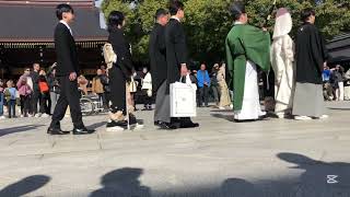 Traditional Japanese Wedding Ceremony A Beautiful Cultural Experience [upl. by Niu]