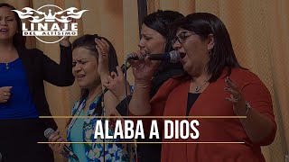 Alaba a Dios  Linaje del Altísimo  Menap HD [upl. by Angel]