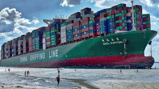 How Container Ships Are Loaded so Fast [upl. by Elin]