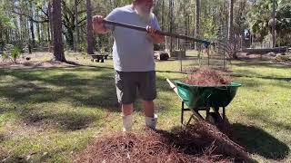 Splitting and separating root bound plants while making a new bed [upl. by Arahsit]