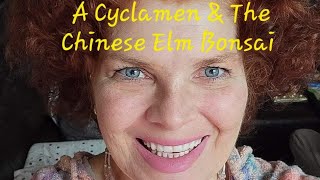 A Cyclamen amp The Chinese Elm Bonsai  Growing Crazy With Jeanette  S4 E11 [upl. by Norabel]