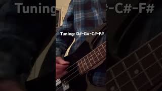 Got Me Wrong by Alice In Chains bass cover [upl. by Nale]