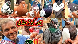 Friday Pigeon Market Layyah New Updates Beautiful Unique ColorFull Pigeons Available In Latest Vlog [upl. by Basset]