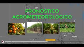 PRONÓSTICO AGROMETEOROLÓGICO PARA MIAMI Y TAMPA clima agro plantas agricultura agriculture [upl. by Stock]