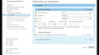 Online aangifte doen  belastingdienst [upl. by Obola471]