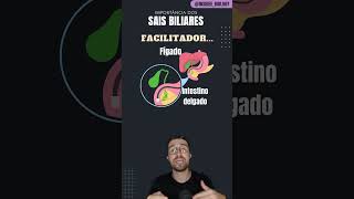 SAIS BILIARES  education biology health [upl. by Lucina]