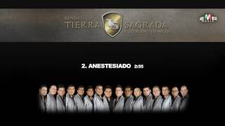 Anestesiado  Banda Tierra Sagrada Audio Oficial [upl. by Maunsell64]