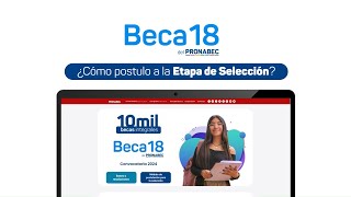 Beca 182024 tutorial de postulación para la SELECCIÓN [upl. by Aube617]