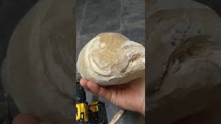 Started carving carp from chunky piece of tulipwood fishing carving carp art [upl. by Gora]