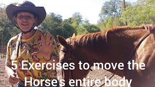 5 Riding Exercises that Move all the parts of the horse from Head to Hindquarters [upl. by Orest]