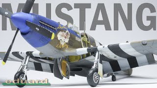 Eduards Brand New P51B Mustang  Full Build  4K [upl. by Alithea]