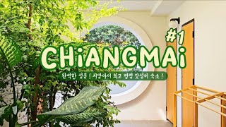 🇹🇭Chiangmai치앙마이 온가족이 떠나는 치앙마이 가족여행  6개월 전 예약한 치앙마이 인생숙소 Eleven Pillar Site Chiangmai [upl. by Euqinu]