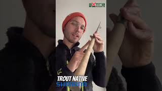 Canna spinning alla trota Shimano Trout Native [upl. by Di]