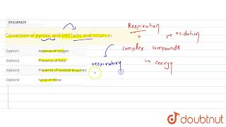 Conversion of pyruvic acid into lactic acid occurs in  CLASS 12  RESPIRATION OF PLANTS  BIOL [upl. by Viva204]