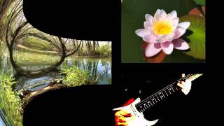 WATERLAND  original composition by SUNNYROSE  FENDER Stratocaster MAGIX Music Maker Video Deluxe [upl. by Ydorb177]