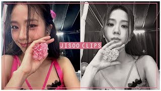 JISOO softcute clips for edits pt1  BLACKPINK clips [upl. by Levey]