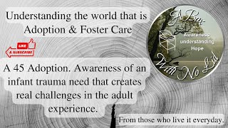 A 45 Adoption awareness of an infant trauma need creates real challenges in the adult experience [upl. by Otrebor303]