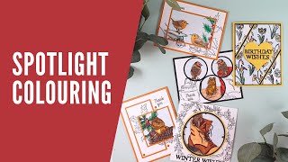 5 Ways to Level Up Your Cardmaking with the Spotlight Colouring Technique [upl. by Eceela]