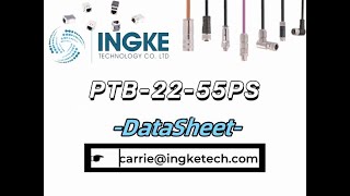 PTB2255PS DataSheet  ingketechnet [upl. by Attelahs]