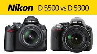 NIKON D5500 VS D5300 PICTURE QUALITY COMPARISON [upl. by Ahserak]