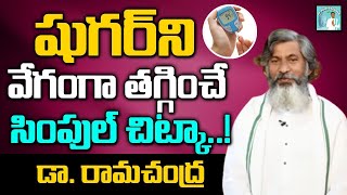 షుగర్ ని వేగంగా తగ్గించే సింపుల్ చిట్కా  Dr Ramachandra Health Tips  Dr Ramachandra [upl. by Siclari]