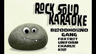 Bloodhound Gang  Foxtrot Uniform Charlie Kilo karaoke [upl. by Einohpets292]