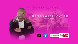 Mchungaji by Christopher callystusmwadimedia records 🔥🔥🔥🔥 [upl. by Craig]