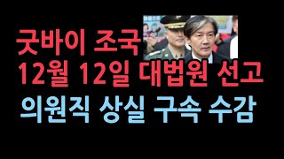 조국 12월 12일 의원직 상실 구속 수감 피선거권 박탁재판지연의 전형 기소후 5년 걸려 최종판결 [upl. by Leoline]