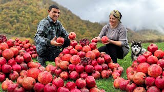 Pomegranate Jam and Fried Fish in the Mountains The Variety Of Tastes Of Nature [upl. by Adnuhsat141]