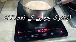 Induction StoveCooker Review الیکٹرک چولہا خریدنے سے پہلے ایک بار یہ ویڈیو لازمی دیکھیں۔ [upl. by Enelyam]