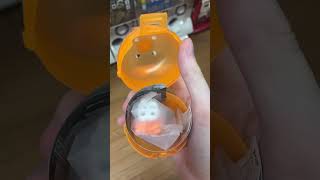 which sanrio sushi character will i get unboxing gachapon gacha japan sanrio [upl. by Ianteen]