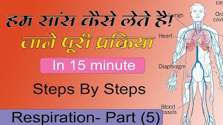 Respiration Step By Step By Azhar Sir jtet ctet kvs kvsdsssb [upl. by Zzahc]