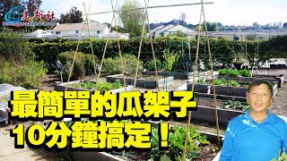 最簡單的瓜架子，10分鐘搞定！可重複使用。 [upl. by Ronni]