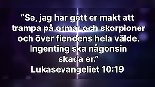 ”Människosonen har kommit för att söka upp och frälsa det som var förloratquot” 20241109 [upl. by Matteo549]