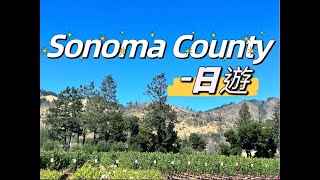 Sonoma county 一日遊加州葡萄酒乡的惊喜之旅自駕怎麼玩北美旅游小眾景點自由行 旅遊攻略，美國旅遊攻略 舊金山旅遊 矽谷生活，矽谷大小事灣區週末哪裡玩 [upl. by Petulia]